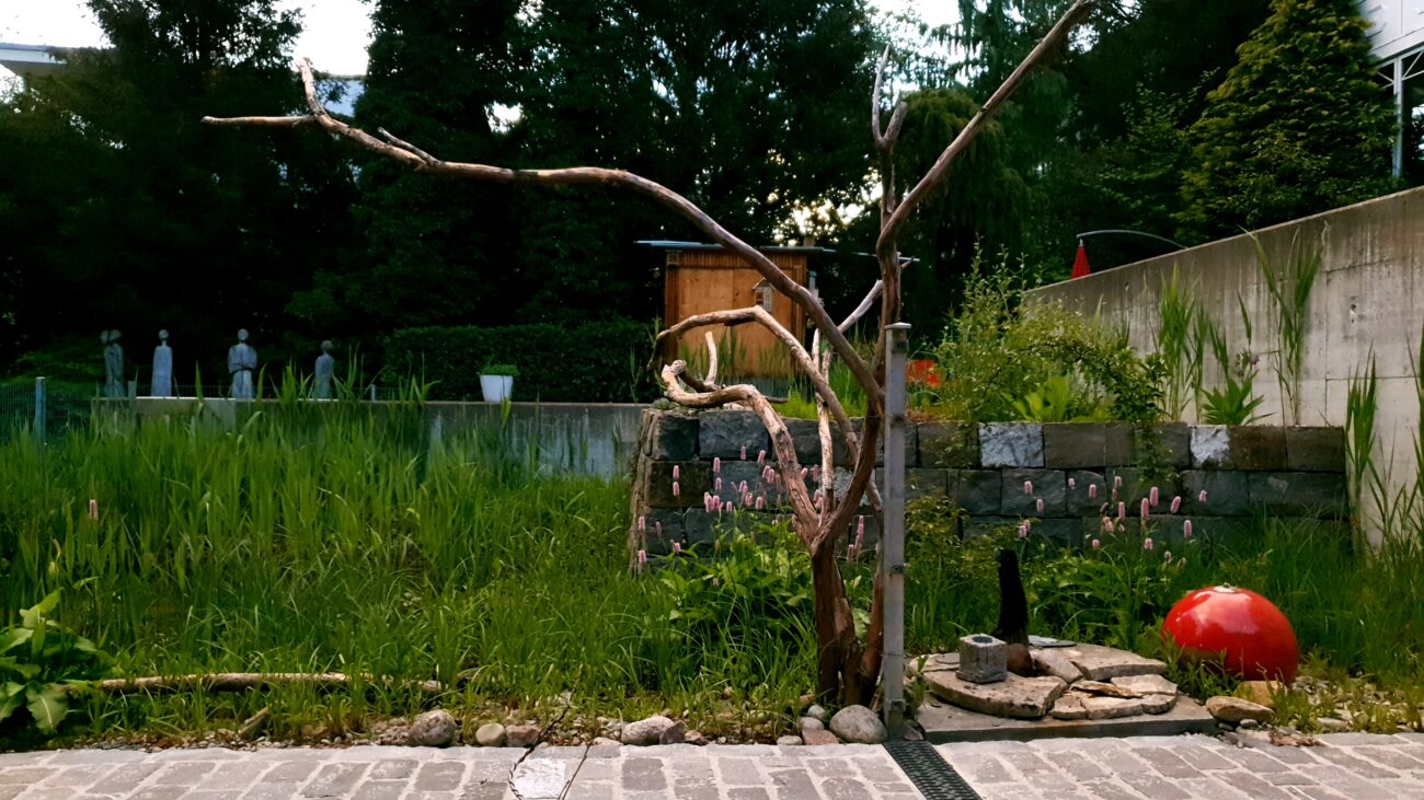 Camillo Henggeler Landschaftsgärtner Naturgärten Wohlen Poolbecken Treibholz